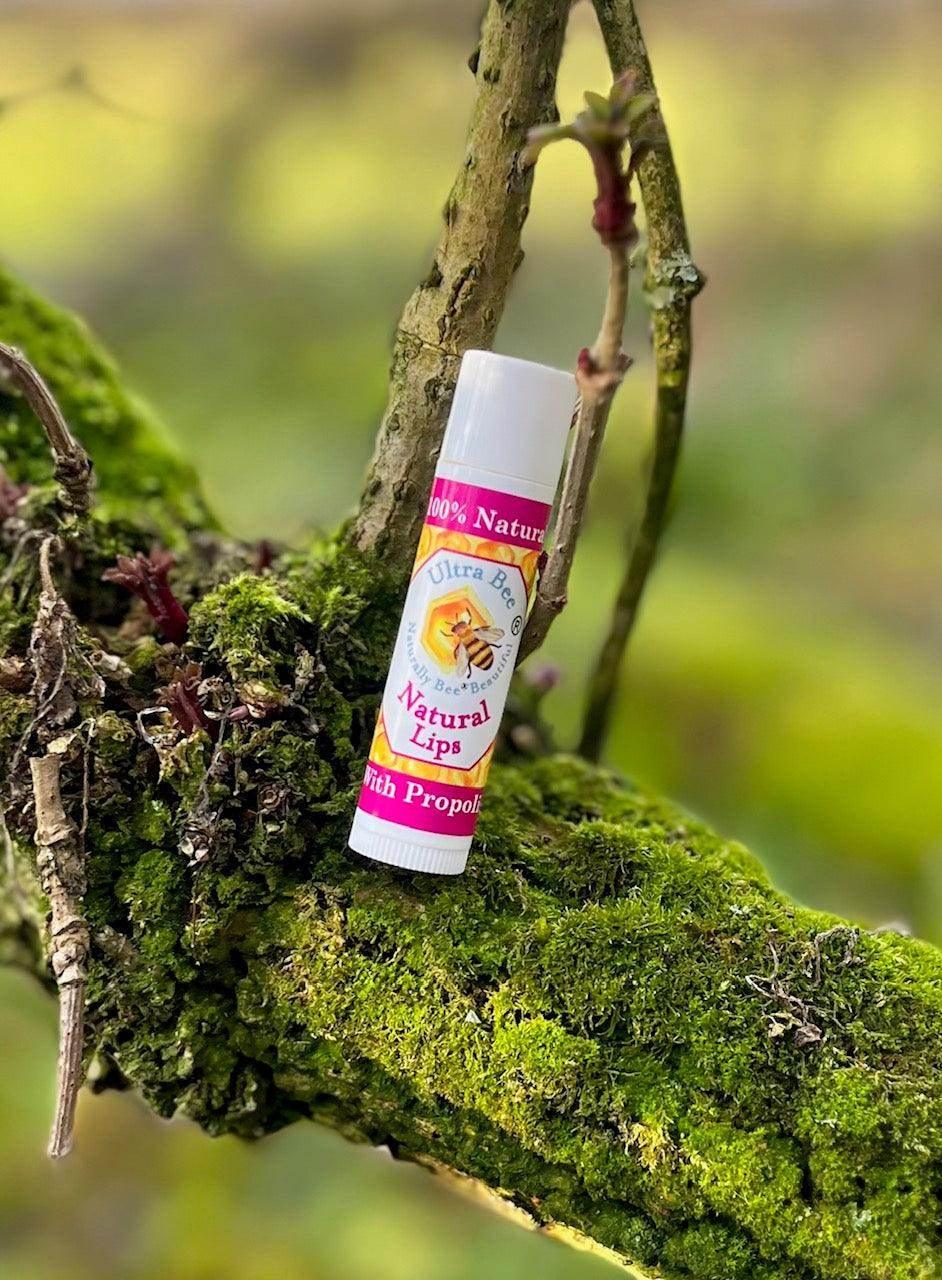 100% Natural Lip Balm Honey, Propolis 4.3g - Ultra Bee Health UK
