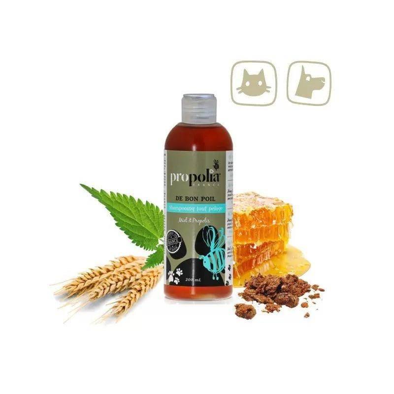 Pet Shampoo All Hair Types Propolis & Honey 200ml - Ultra Bee Health UK
