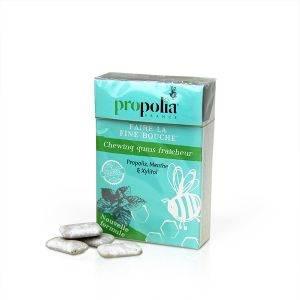 Propolis and Mint Gum Non Sugar Coated 24gm - Ultra Bee Health UK