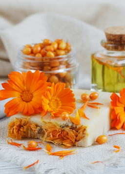 Calendula Extract