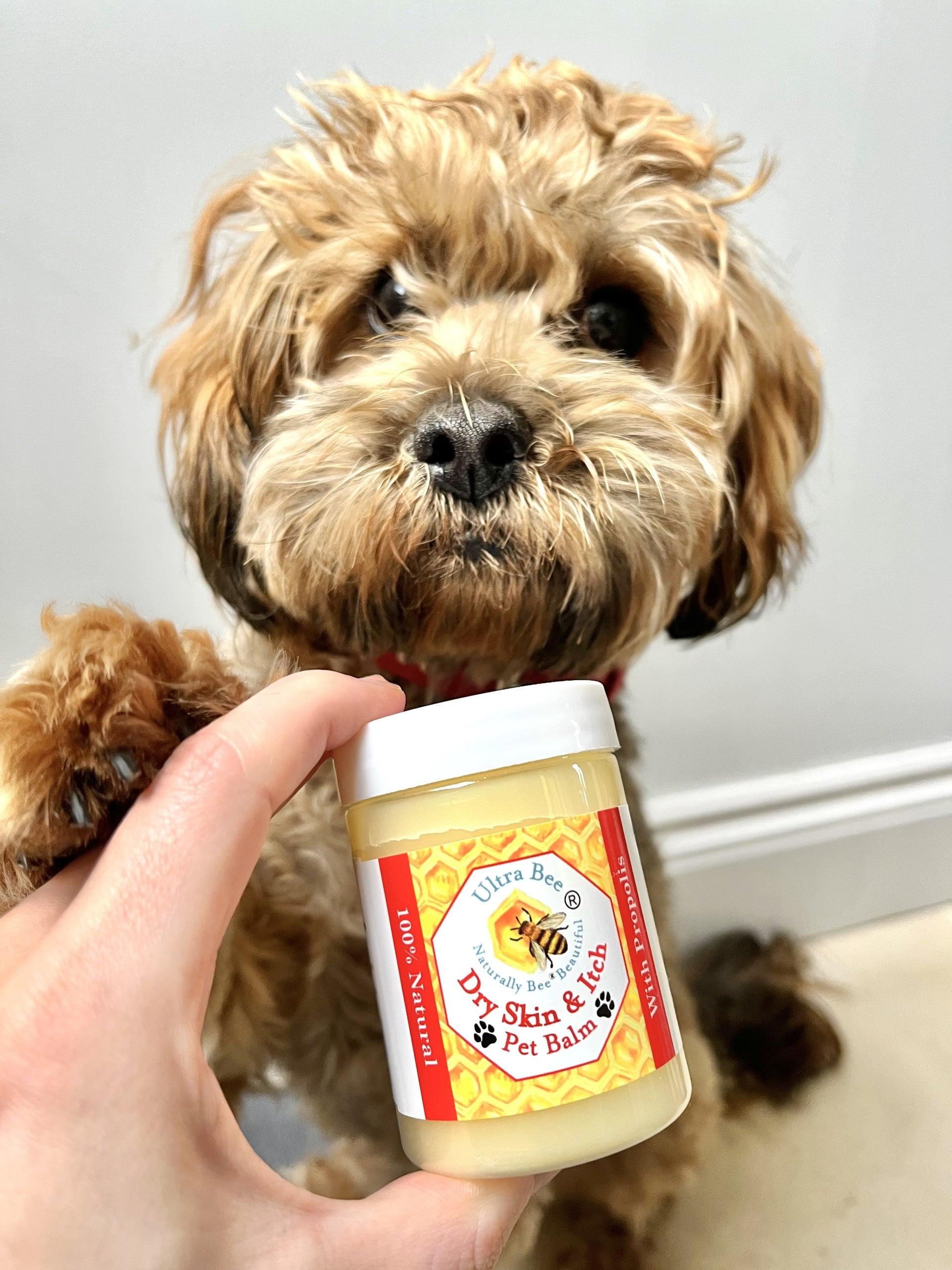100% Natural Pet Dry Skin & Itch Balm (allergenic skin) 100ml - Ultra Bee Health UK 